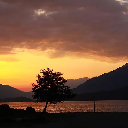 Apartment Le Azalee & *